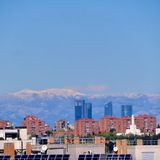Miscelánea sin contaminación en Madrid | Diario de un Ecólogo #09