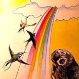 IL COLIBRi' E IL COLORE DEGLI UCCELLI