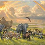 Earth Dries - Noah Leaves The Ark For A New Beginning Discussion