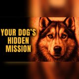 Edgar Cayce Revealed Your Dog's 1 Hidden Mission in This Life