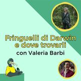 Fringuelli di Darwin e dove trovarli - con Valeria Barbi