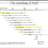 The Genealogy Of Enoch To Noah Discussion