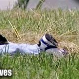 The Interstate Serial Killer _ The New Detectives