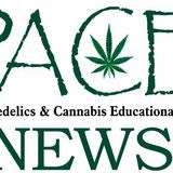 Psychedelics & Cannabis Educational News - Dec 18, 2023 with Rev Kelly & Al