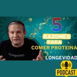 Proteína y longevidad: el secreto para vivir más sin envejecer por dentro