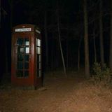 7 Most Disturbing Things Found in the Woods