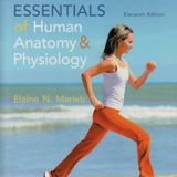 Essentials of Human Anatomy & Physiology