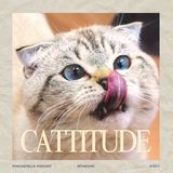 Cattitude