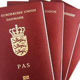 Hvor svært skal det være at blive dansk statsborger?