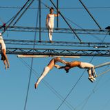 Annonces locales du 4 septembre : convention internationale de trapèze volant à La Grand Combe !