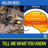 Killer Bees and IQ