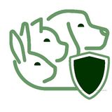 La consapevolezza di scegliere un cane