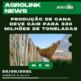 Podcast: Agropecuária brasileira  tem papel positivo no combate ao aquecimento global