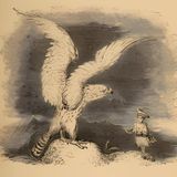 De Vogeljongen | Tragische Verhalen