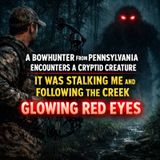 Red Glowing Eyes in the Pennsylvania Woods | The Night the Forest Went Silent |  Veteran’s Encounter