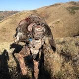 Primative Hunting Practices What Can We Glean