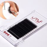 Strip Lashes Supplier China