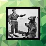 137 - Wojtek, el oso soldado
