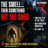 CALIFORNIA WORKER ENCOUNTERS SOMETHING TERRIFYING IN THE WOODS (MONTARA MOUNTAIN)