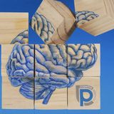 TBI-One-Love-podcast-Cognitive-protocol