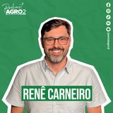 O que são galhas e como elas se formam nas plantas? #448