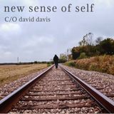 E:240 -  C/O david davis "New Sense of Self" part 1