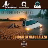 NUESTRO OXIGENO Reducir Desastres, Cuidar la naturaleza