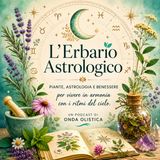 Episodio 2 – TORO e le sue piante