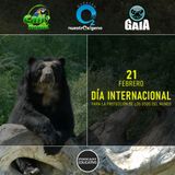 NUESTRO OXÍGENO El Guardián de los Andes, Protector de Bosques y Viajero de las Alturas