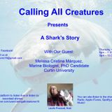 A Shark's Story