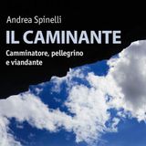 Andrea Spinelli "Il caminante"