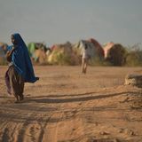 28 gennaio 2025 - Notiziario in genere