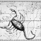 Costellazioni e  Segni zodiacali - Scorpione