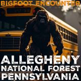 BIGFOOT ENCOUNTER IN THE ALLEGHENY NATIONAL FOREST (PENNSYLVANIA) CREATURE SEEN FROM THE SCHOOL BUS!