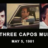 The Three Capos Murder-What Donnie Brasco Never Told You! Gotti, Massino , Sonny Black and Red