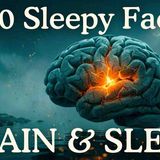 What Happens to Your Brain When You Don_t Sleep _ Sleep Science