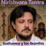 Sushumna y los Granthis