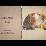 Çetin Altan - Kedi