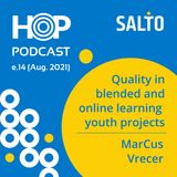 14: Quality in blended and online learning youth projects