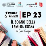 Trame e tramacci storie di libri - 23 - Il sogno della camera rossa