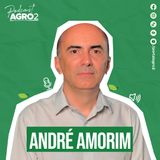 Como a estiagem impacta o campo e a produção agrícola? #402
