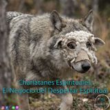 Charlatanes Espirituales: El Negocio del Despertar Espiritual
