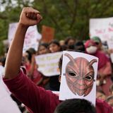 How India’s Cockroach Party Became a Political Force