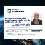 Del campo a la mesa: desafíos y apuestas para una avicultura sostenible