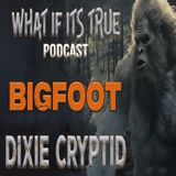Archive 39 Bigfoot Encounter