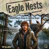 Eagle Nests - The Patient Observer's Field Guide to Not Ruining Everything