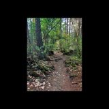Trail hike on P'Kols
