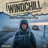 Windchill - Dress for the Wind or the Wind Undresses You