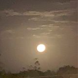Episodio 522 - El podcast de Luismiguel Rosa manzanillo