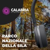 Parco Nazionale della Sila, bellezza senza limiti